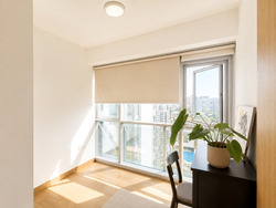 Eight Riversuites (D12), Condominium #610163741